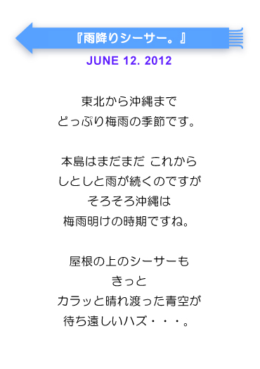 雨降りシーサー。