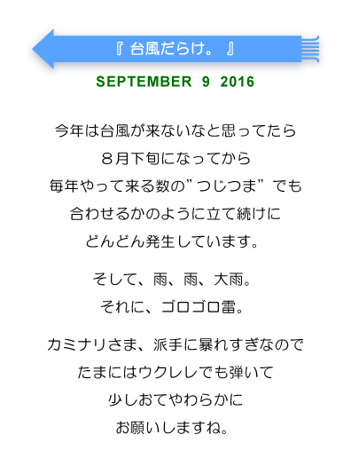 台風だらけ。