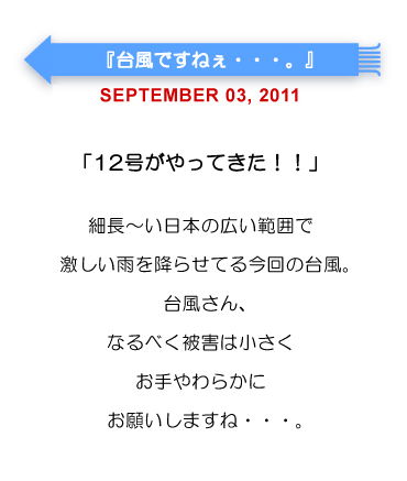 台風ですね・・・。