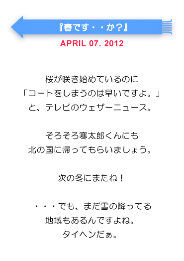 春です・・か？